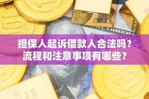 北京担保人起诉借款人合法吗？流程和注意事项有哪些？