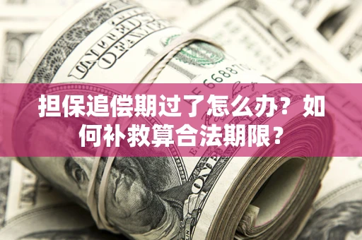 北京担保追偿期过了怎么办？如何补救算合法期限？
