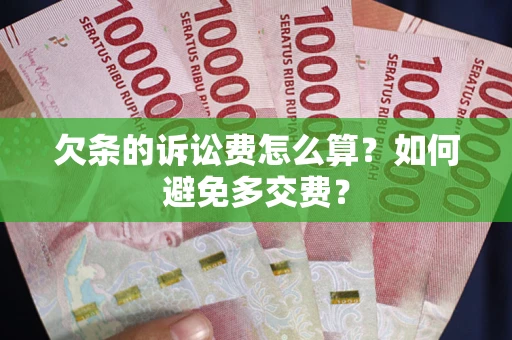 北京欠条的诉讼费怎么算？如何避免多交费？