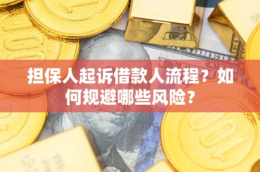北京担保人起诉借款人流程？如何规避哪些风险？