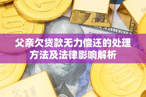 北京父亲欠贷款无力偿还的处理方法及法律影响解析